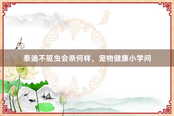 泰迪不驱虫会奈何样，宠物健康小学问